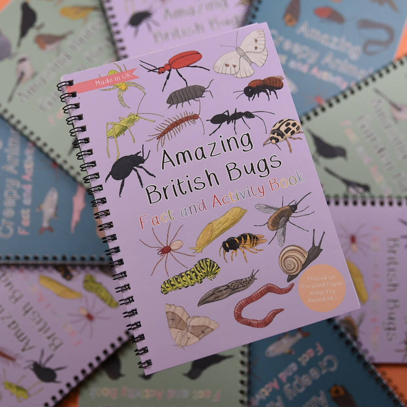 Amazing British Bugs Fact and Activity Book 