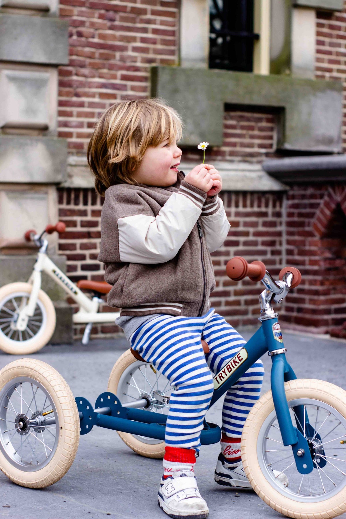 Trybike - Matte 2 In 1 Balance Trike - Vintage Blue