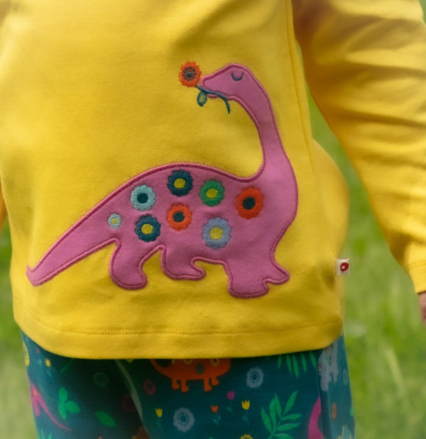 Piccalilly Applique Long Sleeved Top - Dinosaur