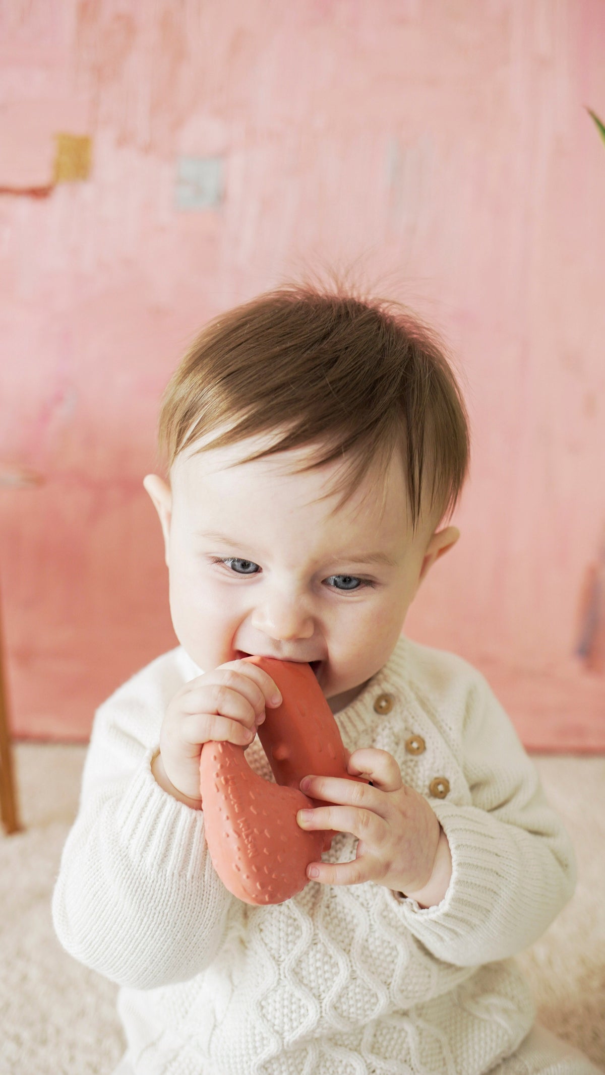 Oli & Carol x Donna Wilson Cyril Squirrel Fox Baby Teether