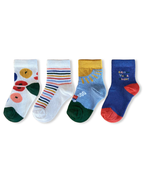 4pk Baby Cotton Grow Your Own Socks