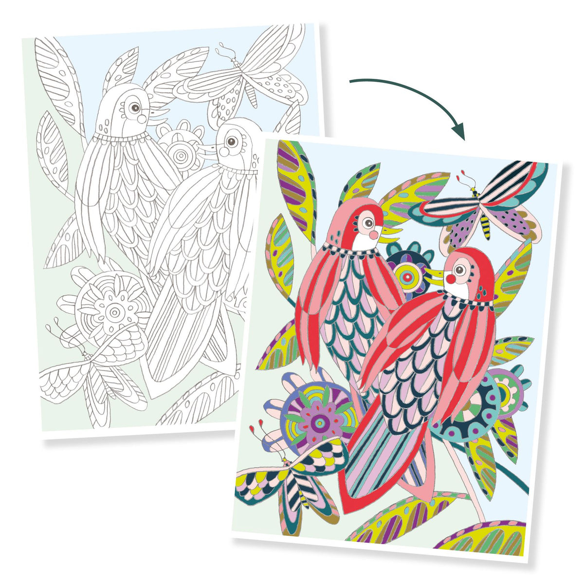 Djeco Colouring Gallery - Birds