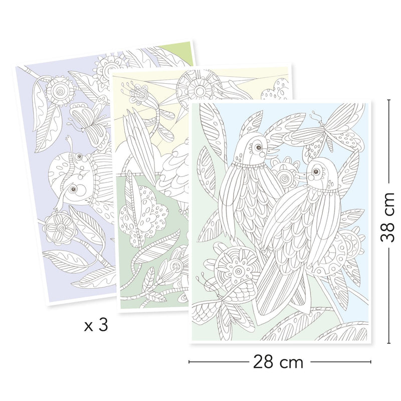 Djeco Colouring Gallery - Birds