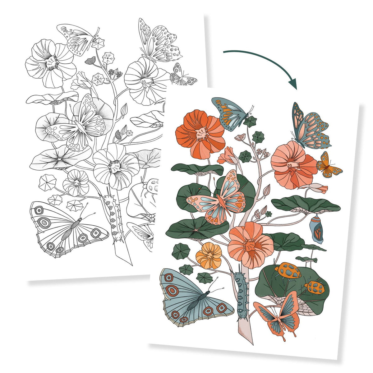 Djeco Colouring Gallery - Naturalist