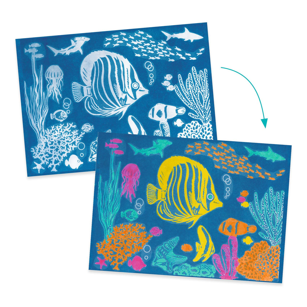 Djeco Cyanotype Kit - Ultramarine