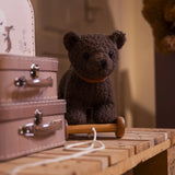 Egmont Toys Pull-Along Raoul The Bear