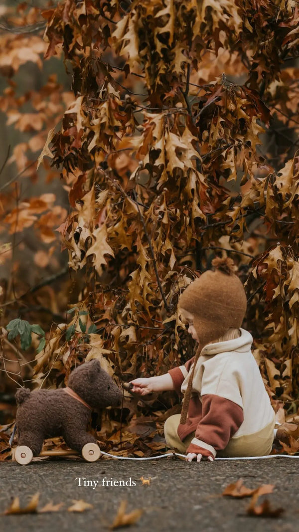 Egmont Toys Pull-Along Raoul The Bear