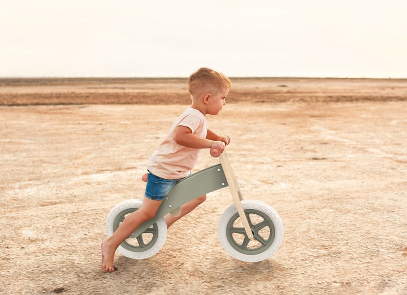 Speedy Monkey Balance bike