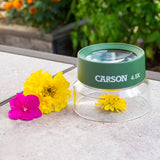 Pre-Focused Stand Magnifier Loupe for Kids, Insect Viewer