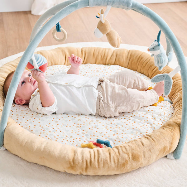 Nattou Felix and Leo - Stuffed Playmat with Arches