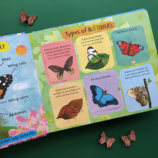 Life-Cycle Books - Butterflies