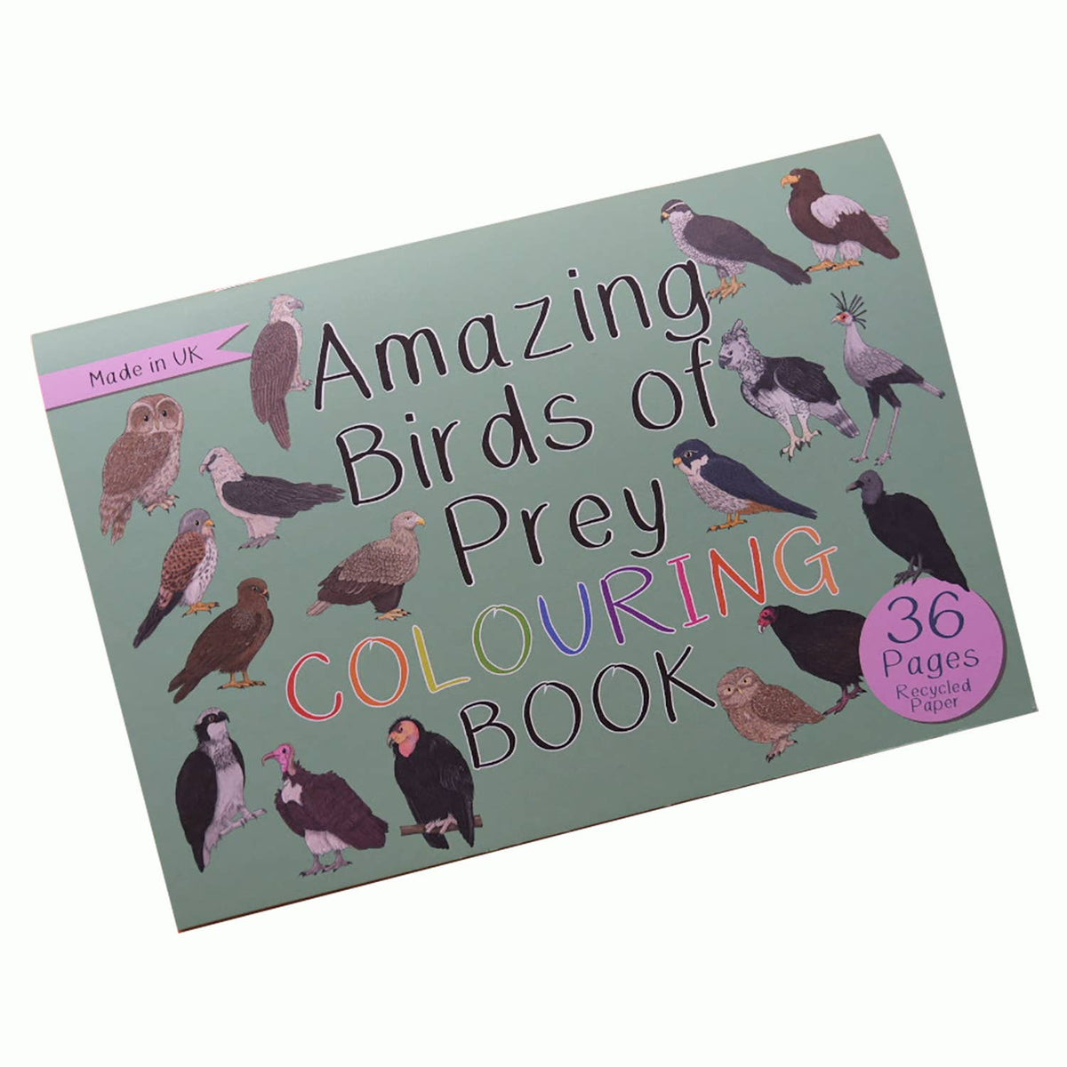 Amazing Birds of Prey Colouring Book