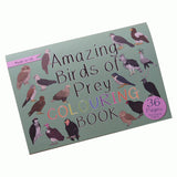 Amazing Birds of Prey Colouring Book