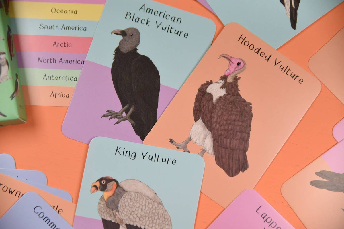 Amazing Birds of Prey Fact Cards