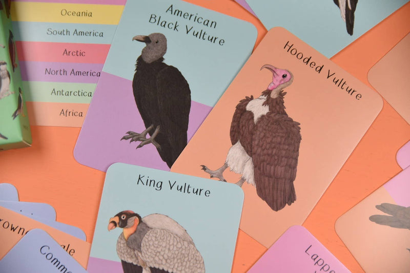 Amazing Birds of Prey Fact Cards