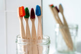 Plant-Based Beech Wood Toothbrush - (certified wood 100%)