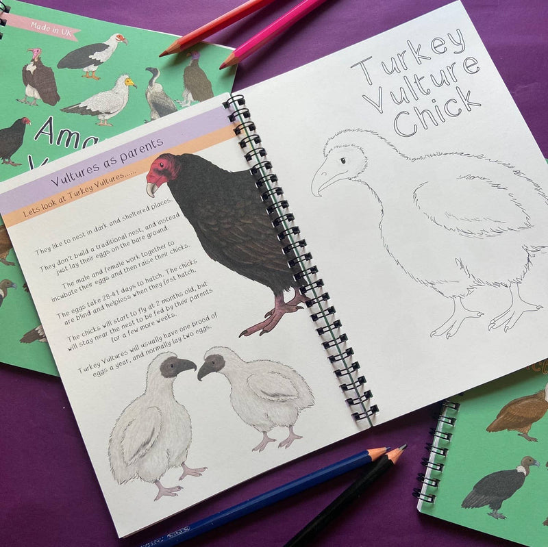 Amazing Vultures Fact and Activity Book 