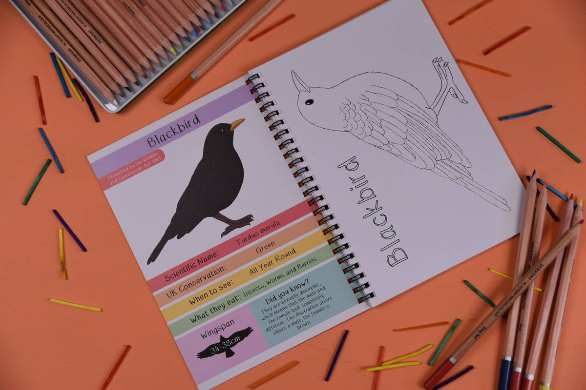 Amazing British Garden Birds Fact and Activity Book 