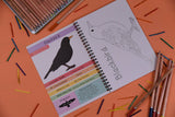Amazing British Garden Birds Fact and Activity Book 