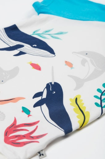 Frugi Reid Raglan T-Shirt - Soft White/Sea Life Whale