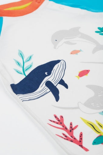 Frugi Reid Raglan T-Shirt - Soft White/Sea Life Whale