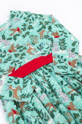 Frugi Party Skater Dress - Festive Forest