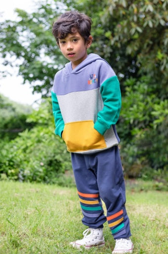 Frugi Bowen Colour Block Hoodie - Grape/Up Beat