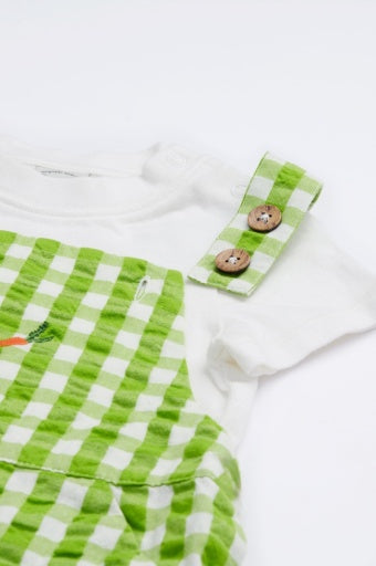 Frugi-Alfred-Dungaree-Outfit-Macaw-Gingham-Carrots