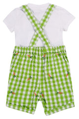 Frugi-Alfred-Dungaree-Outfit-Macaw-Gingham-Carrots