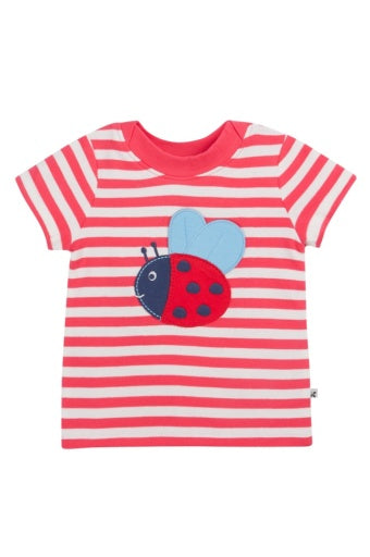 Frugi Easy On T-Shirt - Watermelon Stripe/Ladybird