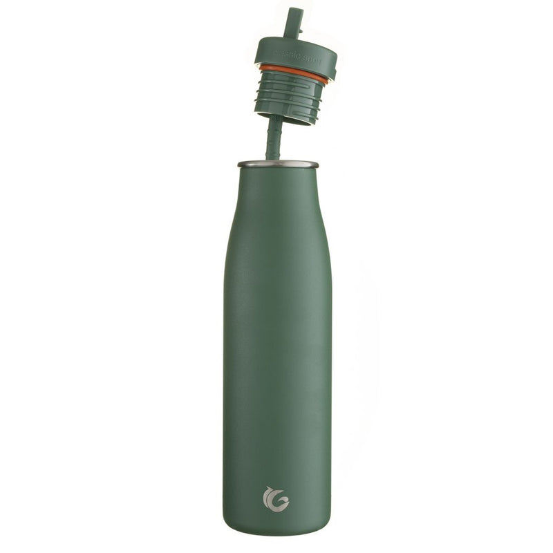 500ml One Green Bottle evolution Insulated Bottle - Gecko