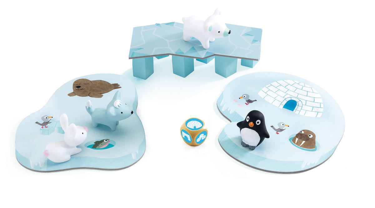 Djeco Little coopération Game