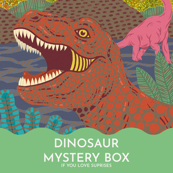 The Dinosaur Mystery Box