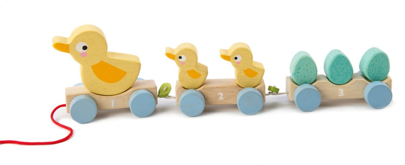 Tenderleaf Toys Pull Along Ducks